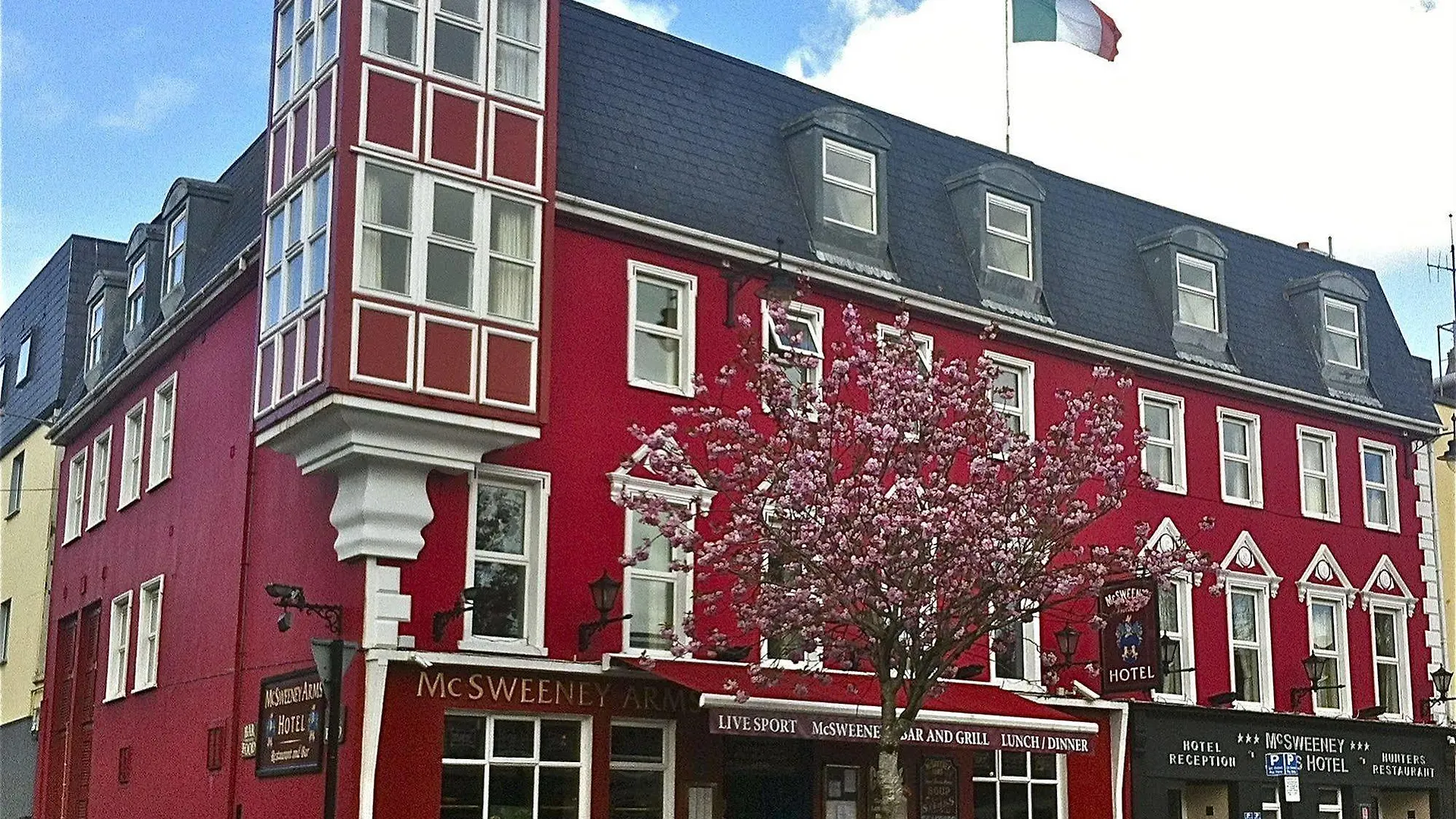 Mcsweeney Arms Hotel Killarney