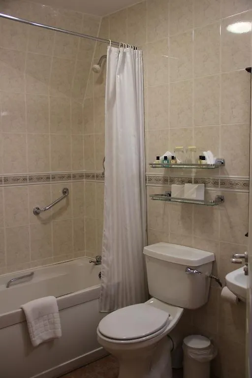 Mcsweeney Arms Hotel Killarney 3*,