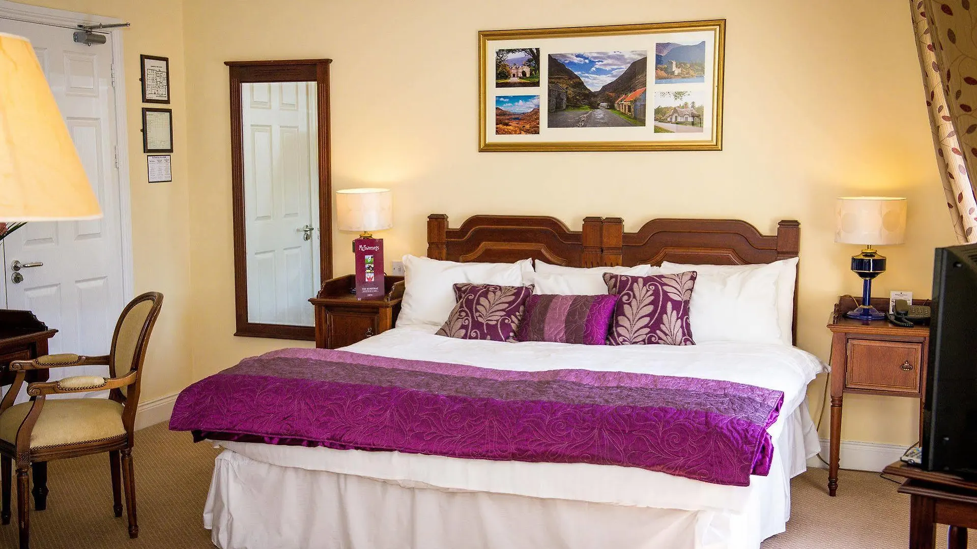 Mcsweeney Arms Hotel Killarney 3*,